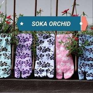 Kaos Kaki Soka Essentials Orchid